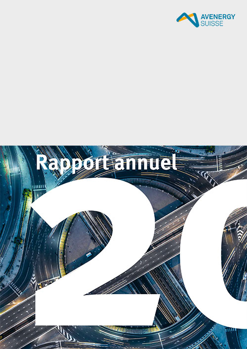 Jahresbericht 2020 fr